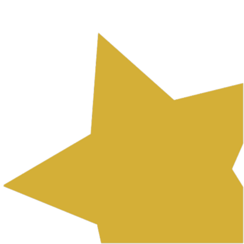 Star Icon